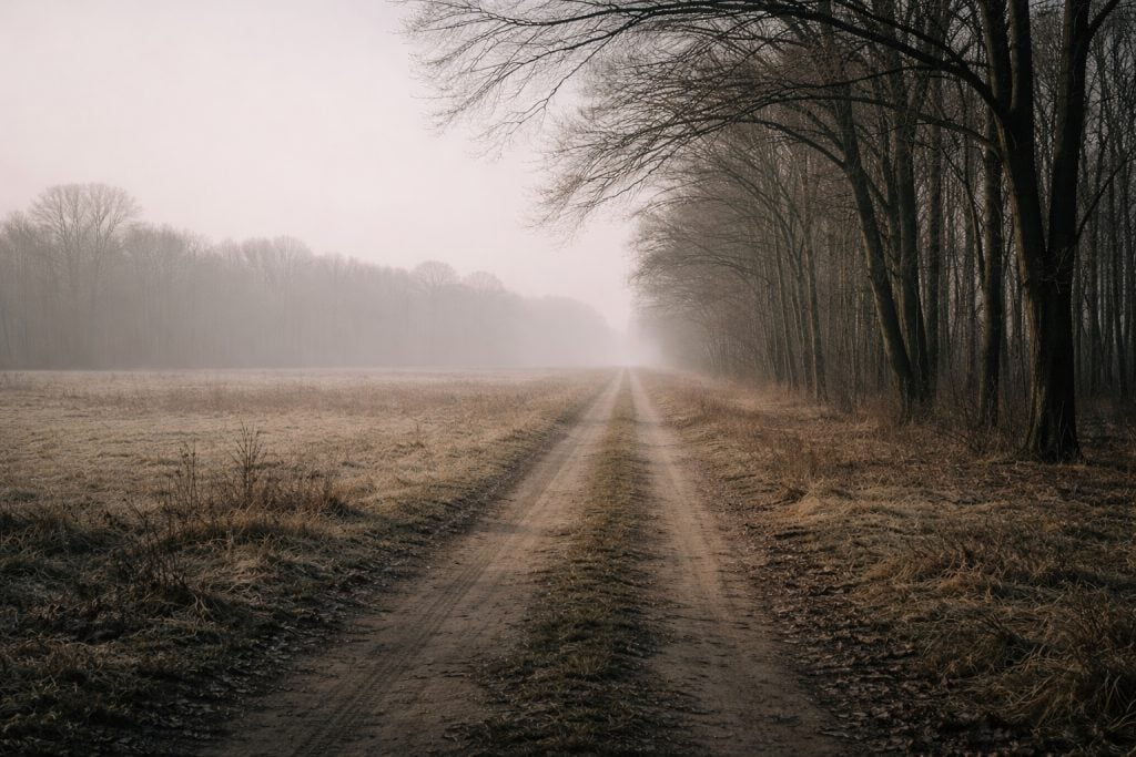 One Day in Poland - Kulmhoff