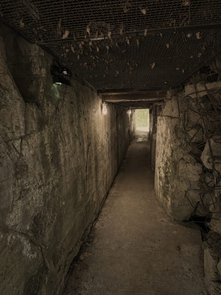 One Day in Poland - Wolf's Lair Private Tour from Warsaw